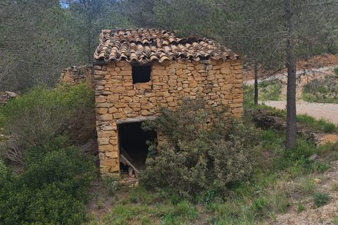 Landejendom i Asco, Tarragona, Asco - € 12.500 | Ref: 959 Lasco - foto 1